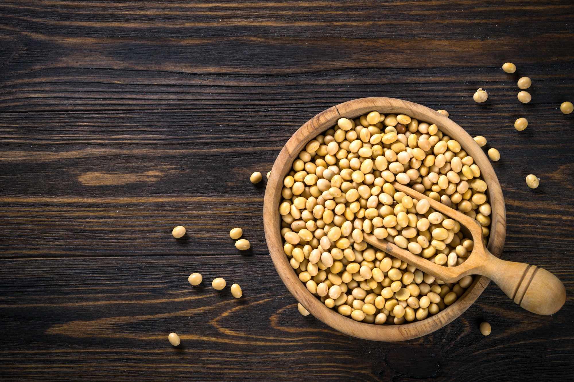Soy is a source of plant based protein.