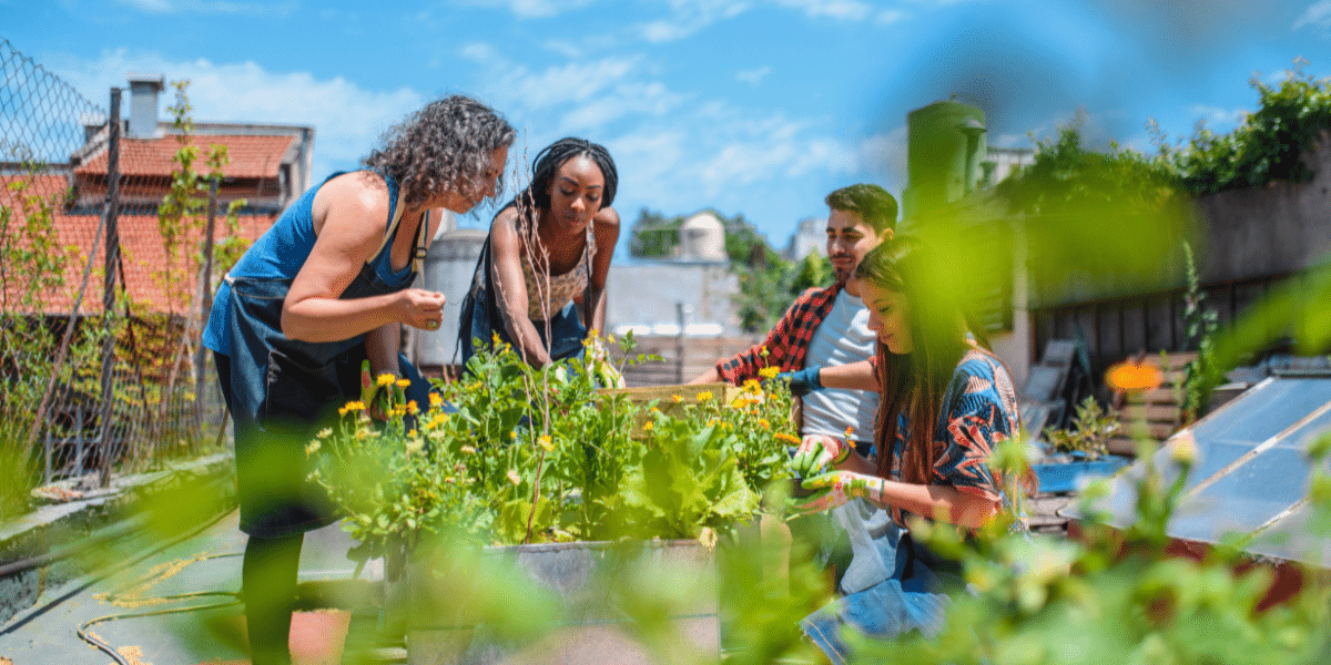 Team gardening